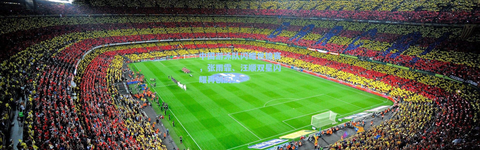 中国游泳队闪耀世锦赛，张雨霏、汪顺双星闪耀再创历史