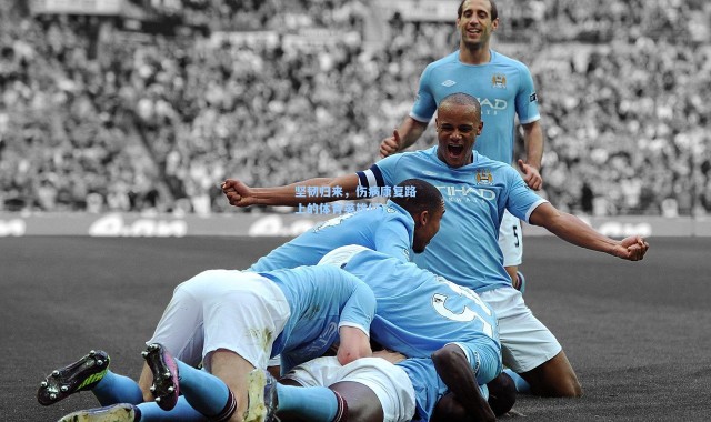 坚韧归来，伤病康复路上的体育英雄们