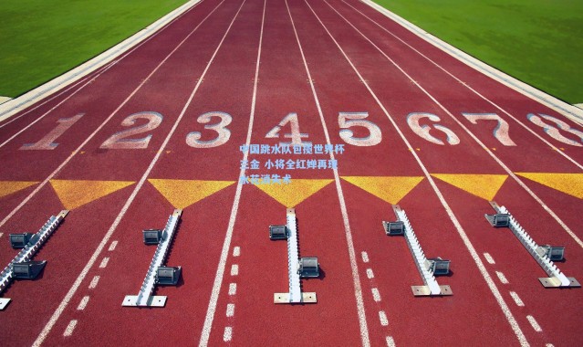 中国跳水队包揽世界杯三金 小将全红婵再现水花消失术