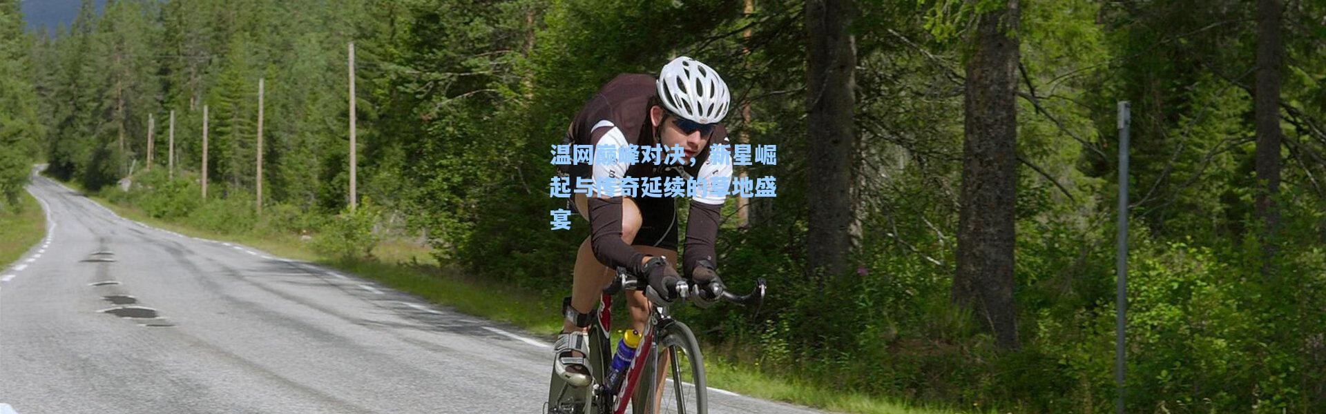 温网巅峰对决，新星崛起与传奇延续的草地盛宴