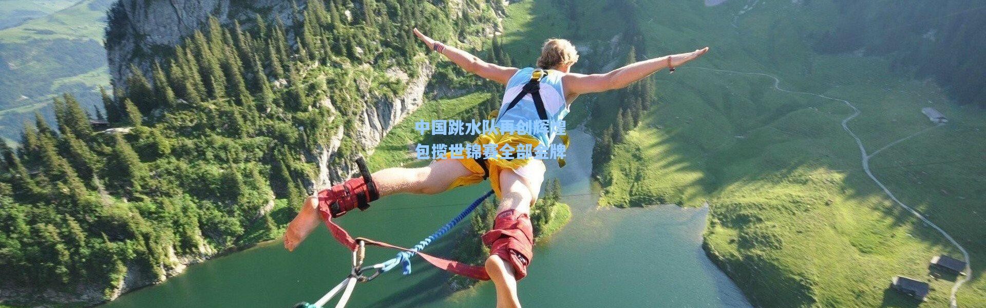 中国跳水队再创辉煌 包揽世锦赛全部金牌