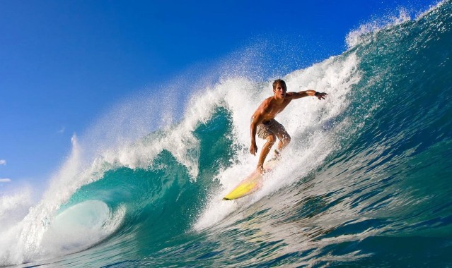 中国游泳队闪耀世锦赛，新生代选手斩获多枚金牌