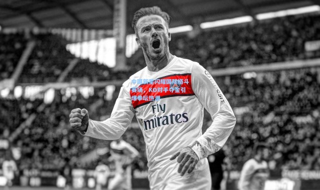 中国新星闪耀国际格斗赛场，KO对手夺金引爆拳坛热潮