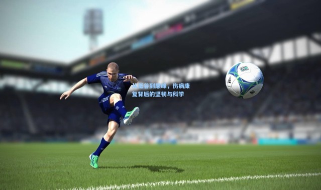 从低谷到巅峰，伤病康复背后的坚韧与科学