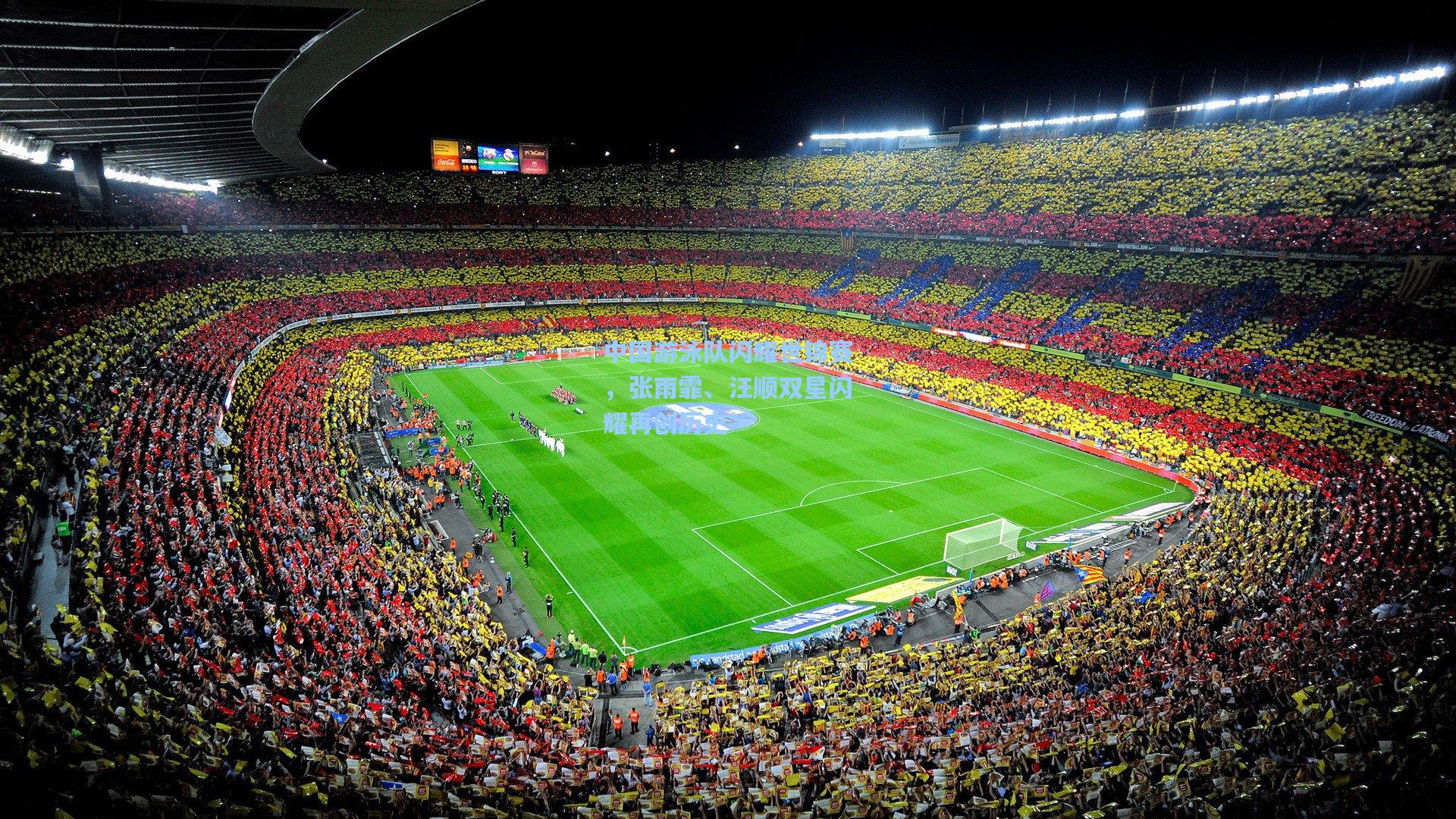 中国游泳队闪耀世锦赛,张雨霏、汪顺双星闪耀再创历史