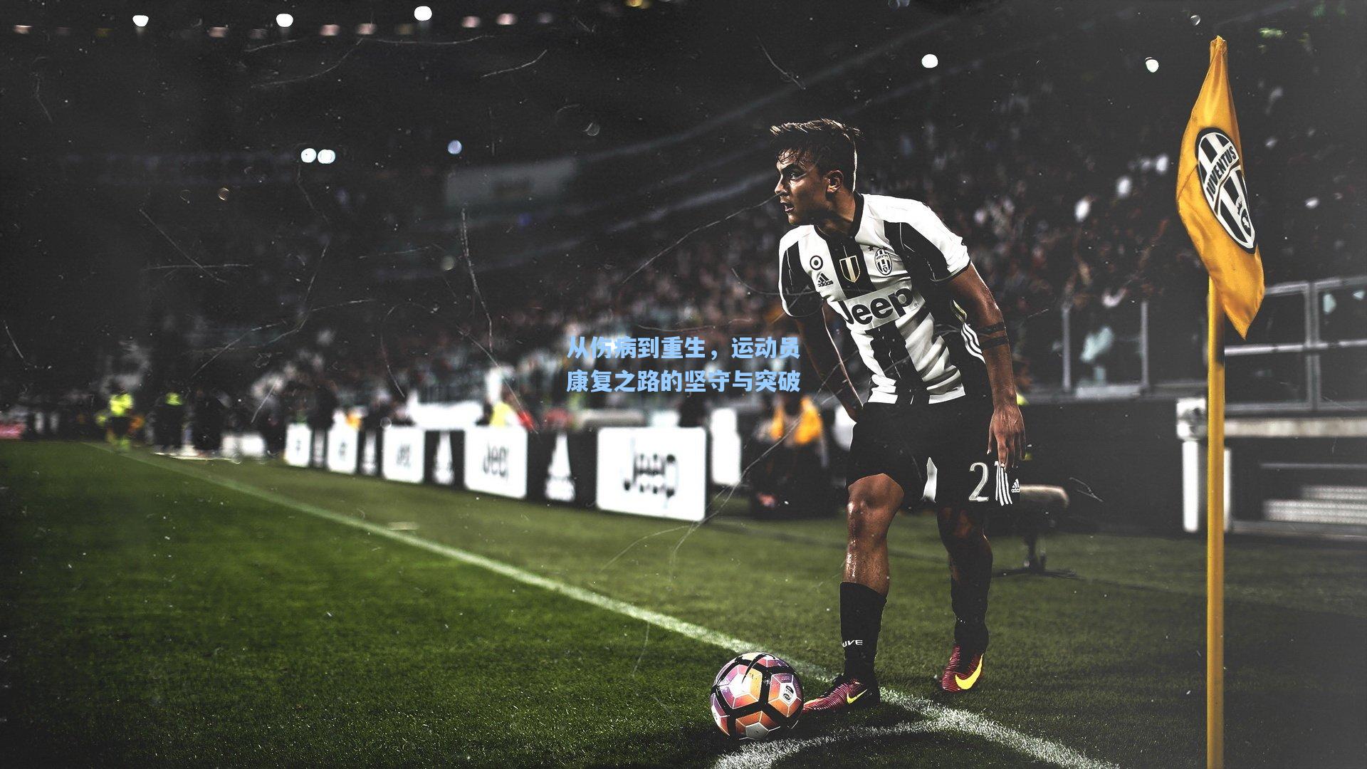 从伤病到重生,运动员康复之路的坚守与突破