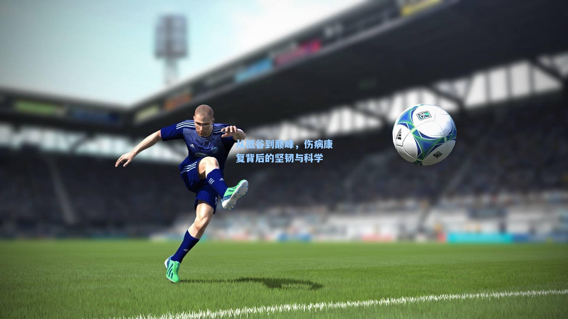 从低谷到巅峰,伤病康复背后的坚韧与科学